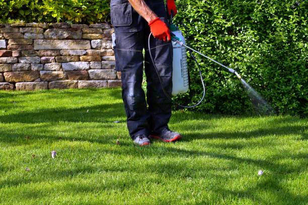 Best Mosquito Control  in Lawndale, CA